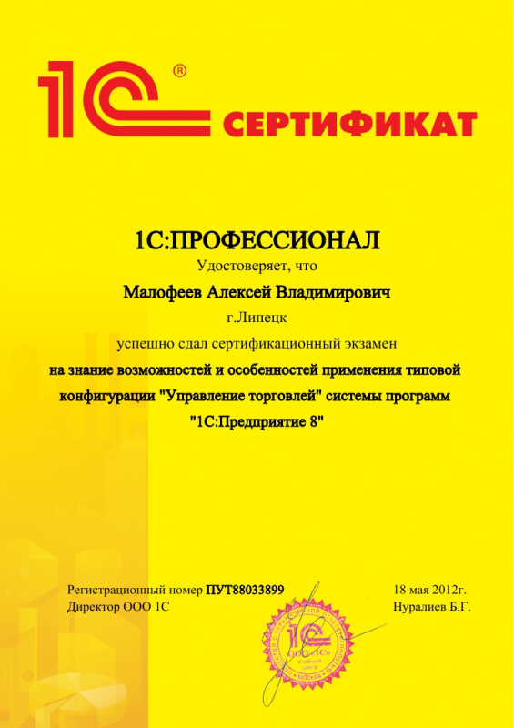 1СПрофессионал Управление торговлей 8