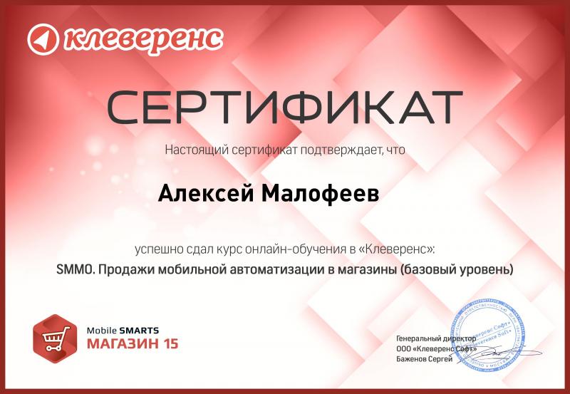 SMM0. Продажи мобильной автоматизации в магазины (базовый уровень)