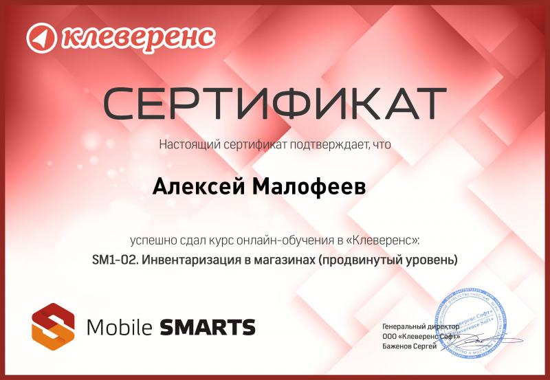 SM1-02. Инвентаризация в магазинах (продвинутый уровень)